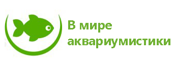 аква мир.jpg