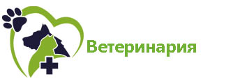 ветеранитария.jpg