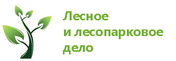 лес и прак дел.jpg