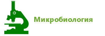 микроби.jpg