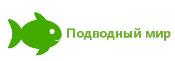под мир.jpg