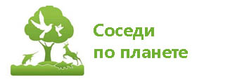 сосед по планет.jpg