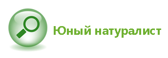 юннатаа.jpg