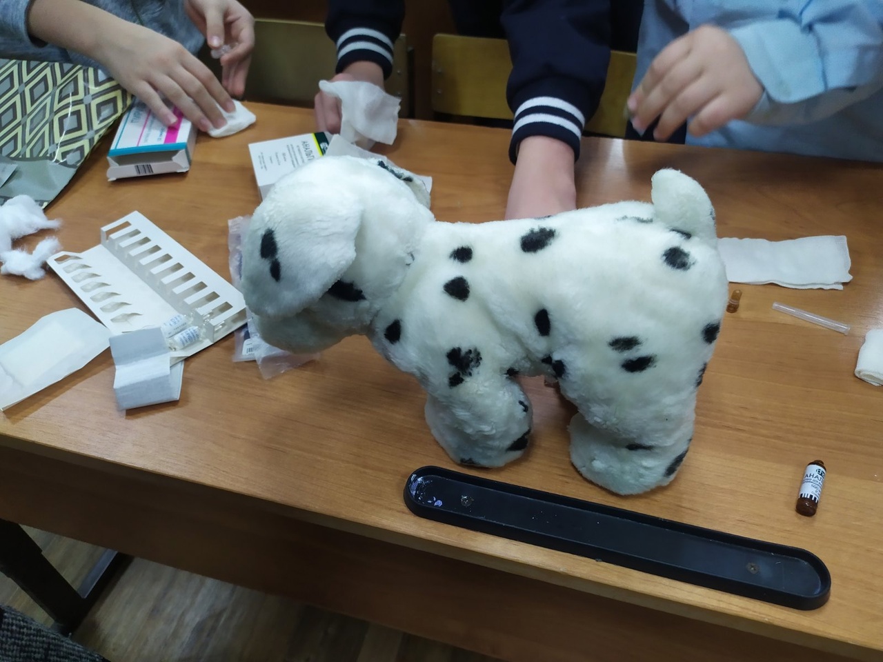Встреча с ветеринаром_5.jpg