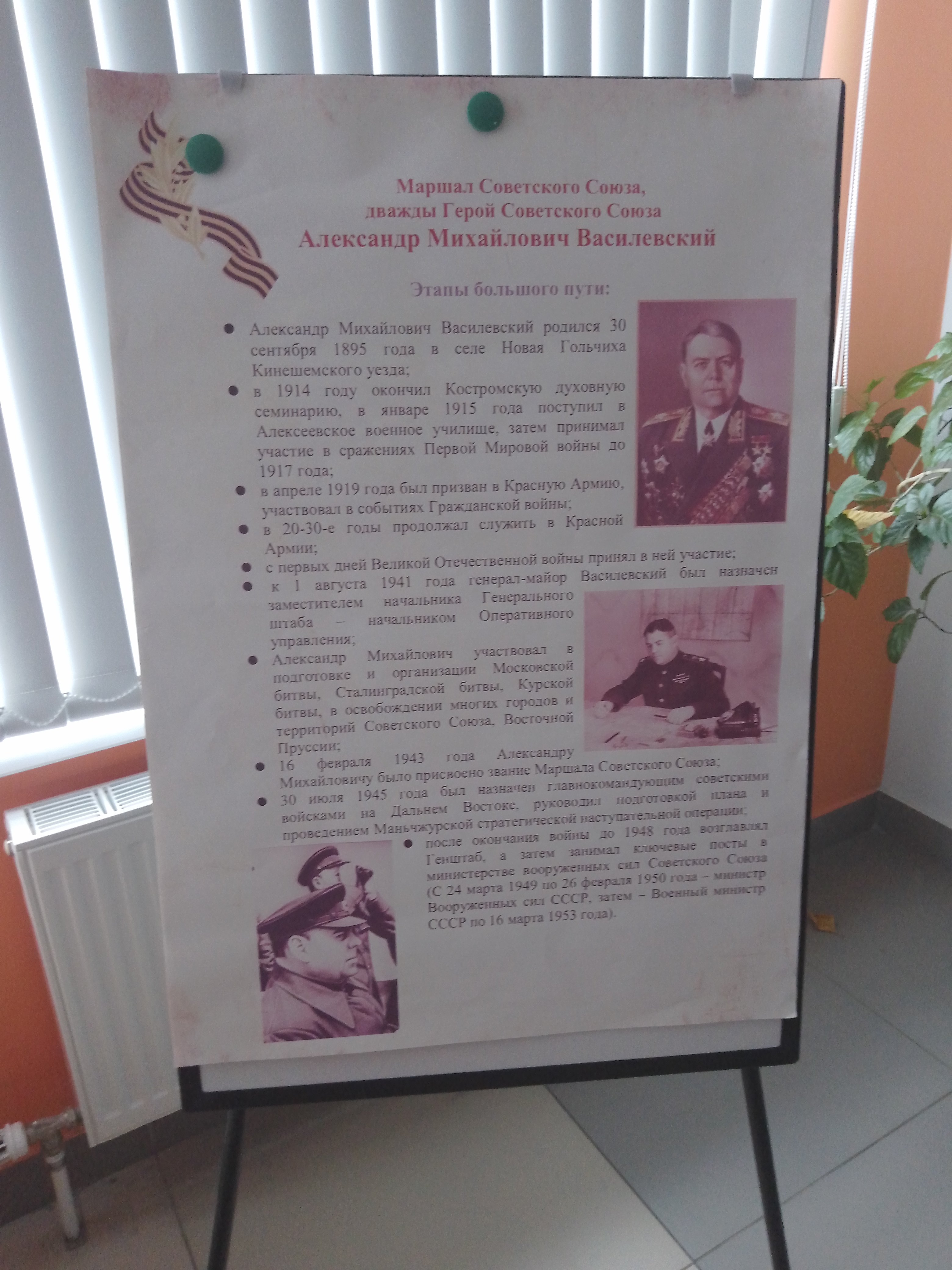 А.М Василевский.jpg