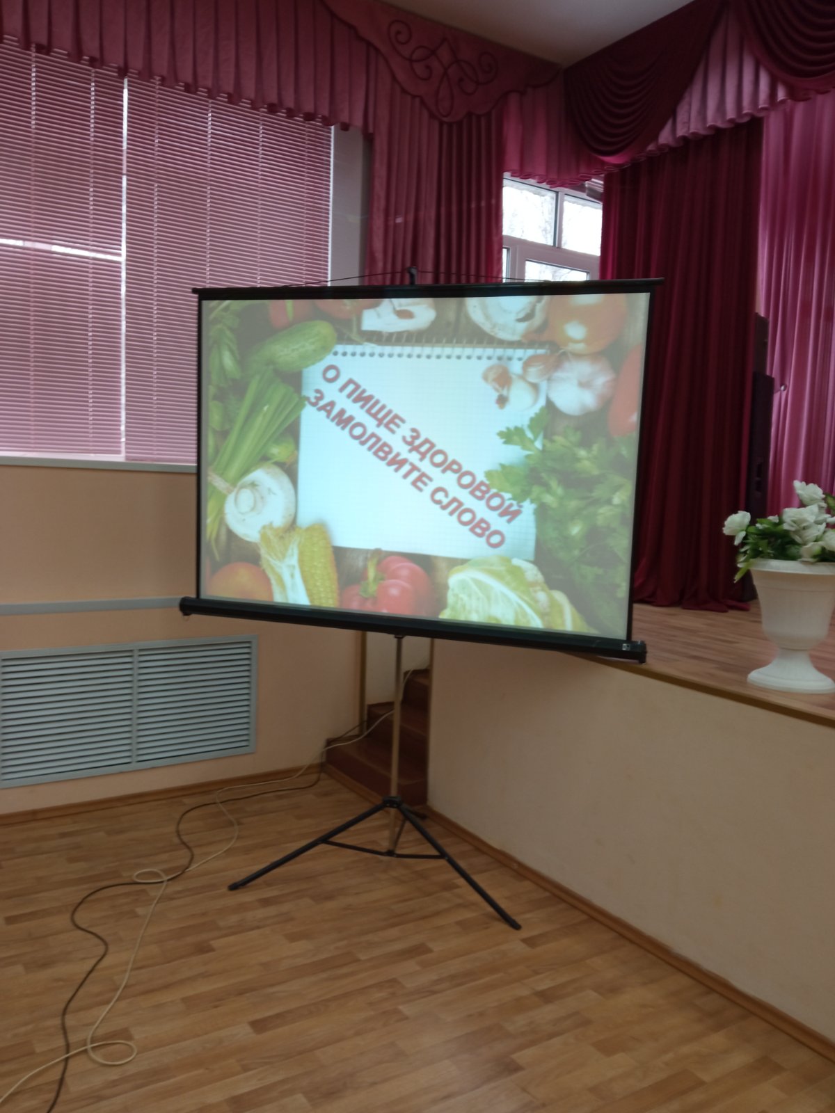 изображение_viber_2021-01-29_15-12-591.jpg