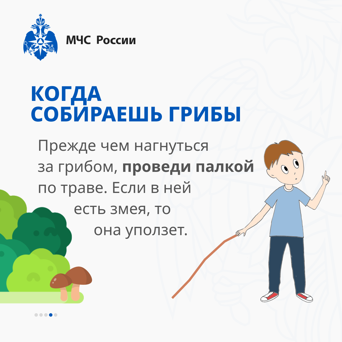 ИНФО 64.png