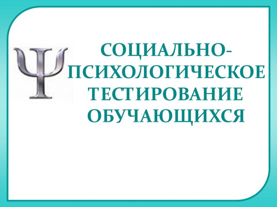 testirovanie.jpg