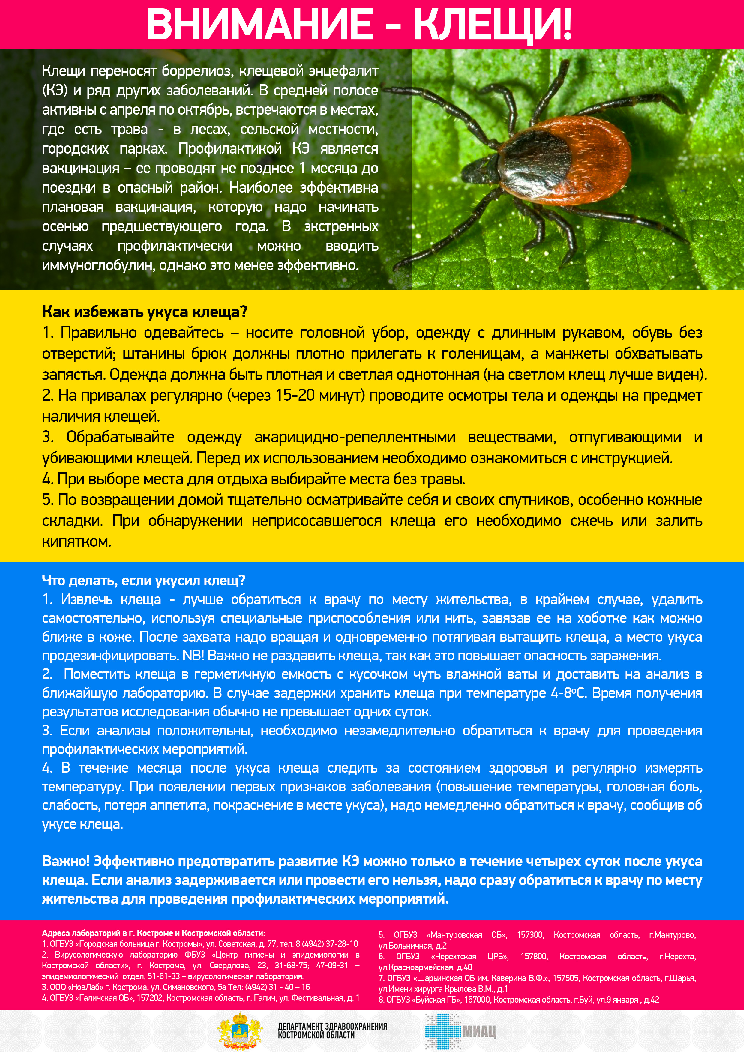Клещи исправленная.jpg