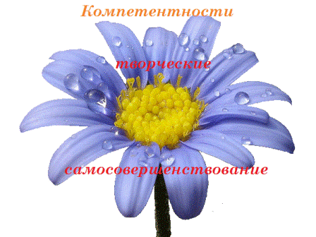 4cd775e7b913.gif