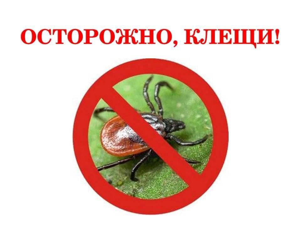 8d45f541-17cd-5567-85d2-8f9ecdf31b94.jpg