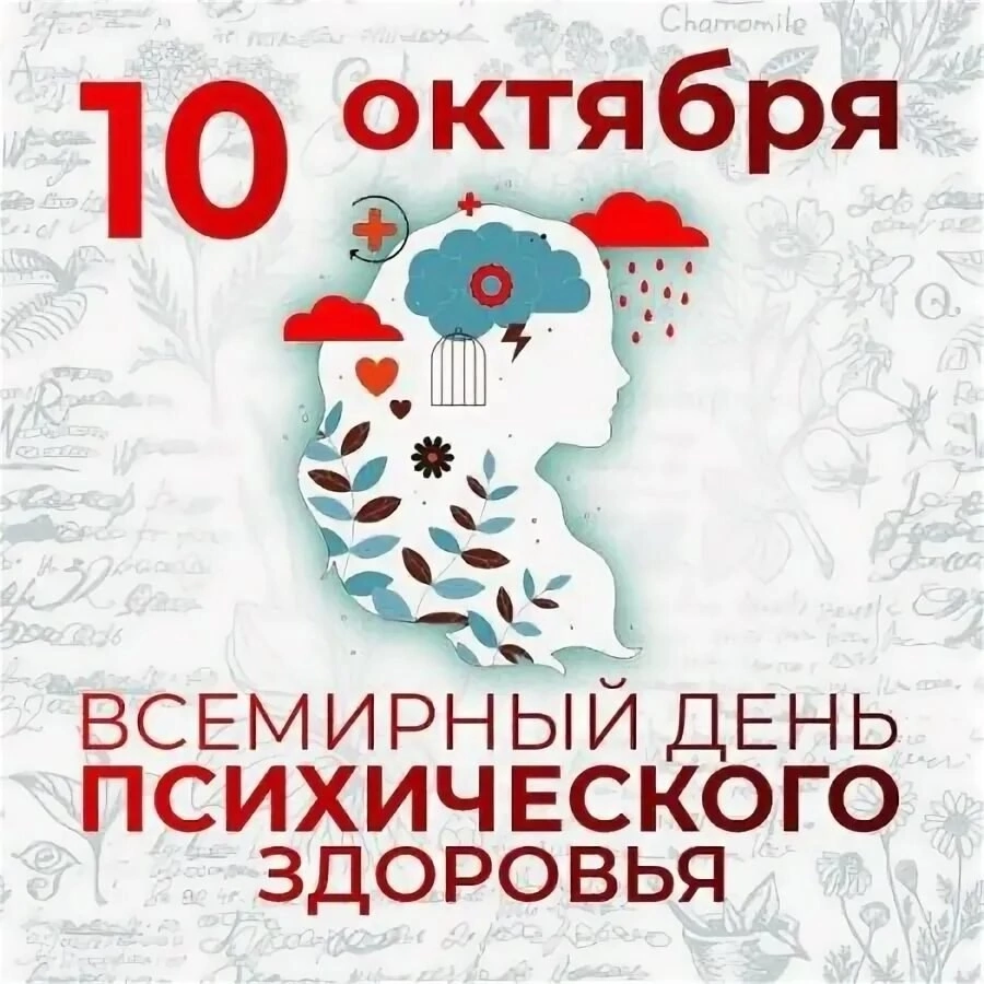 IMG_7954.PNG
