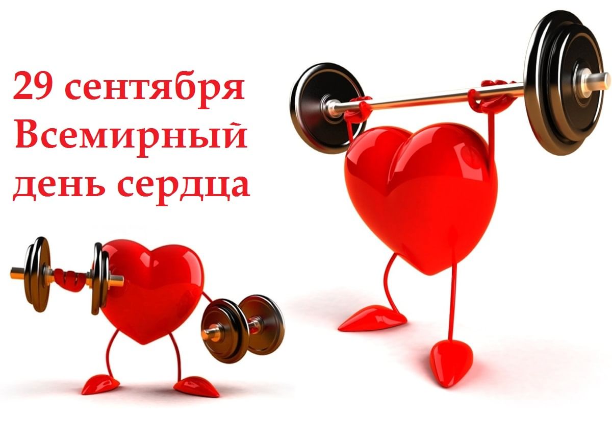0c29086f-7083-58f2-9176-fe822a85853d.jfif