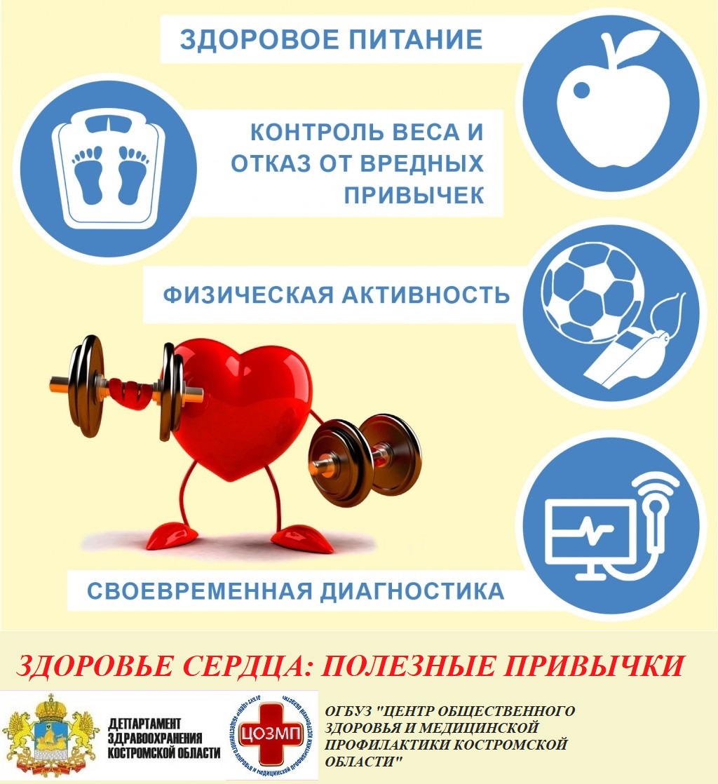 здоровое сердце.jpg