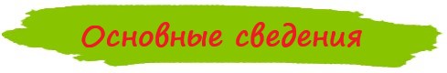 зел.jpg