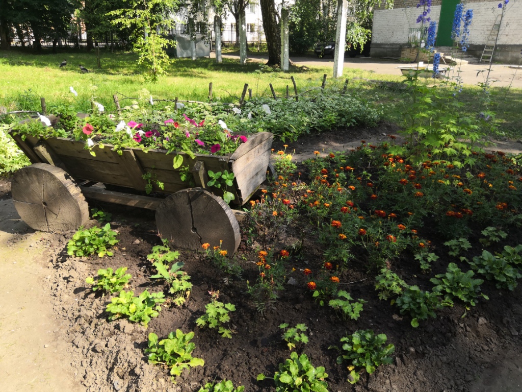 IMG_20200707_153304.jpg
