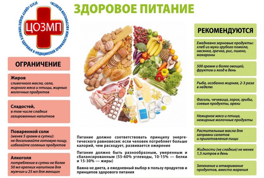 Здоровое питание.jpg