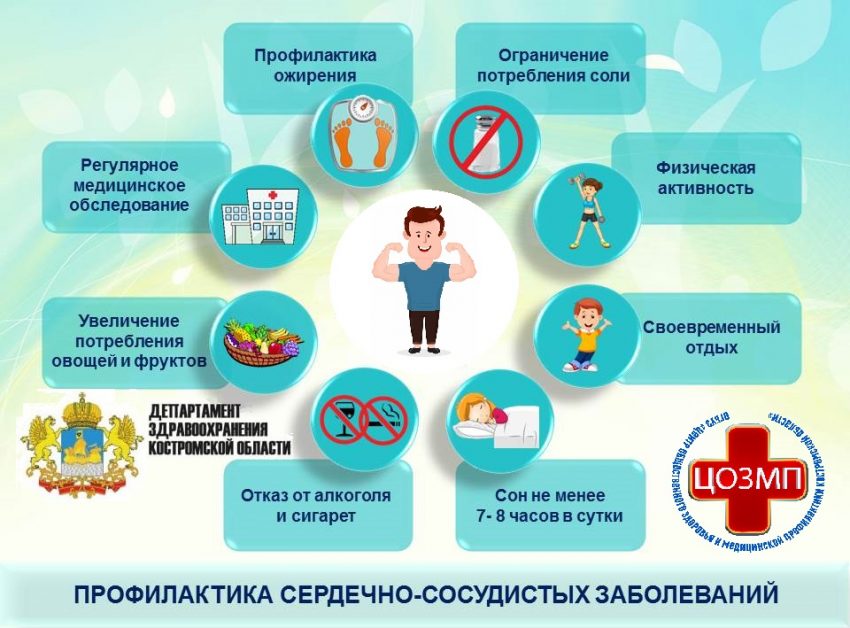 Профилактика сердечно сосудистых заболеваний.jpg