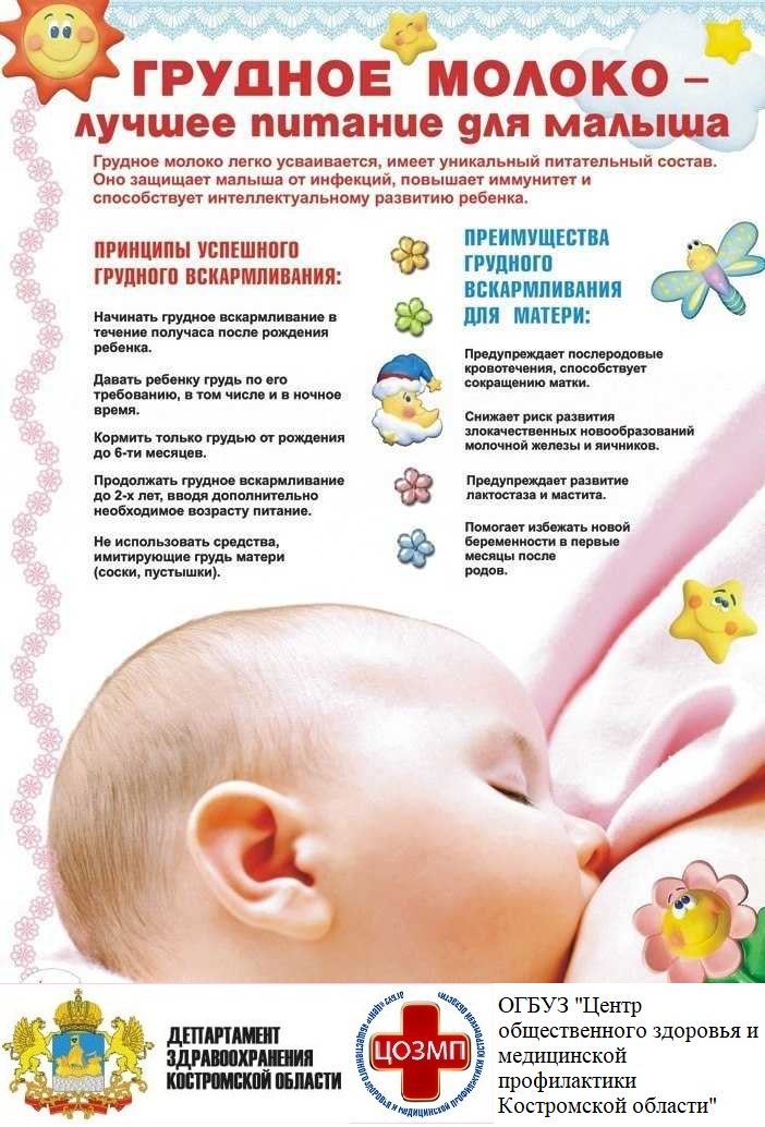 ГВ 2.jpeg