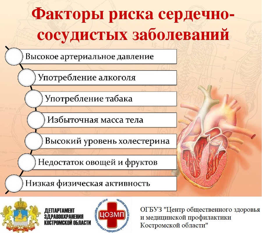 факторы риска ССЗ.jpg