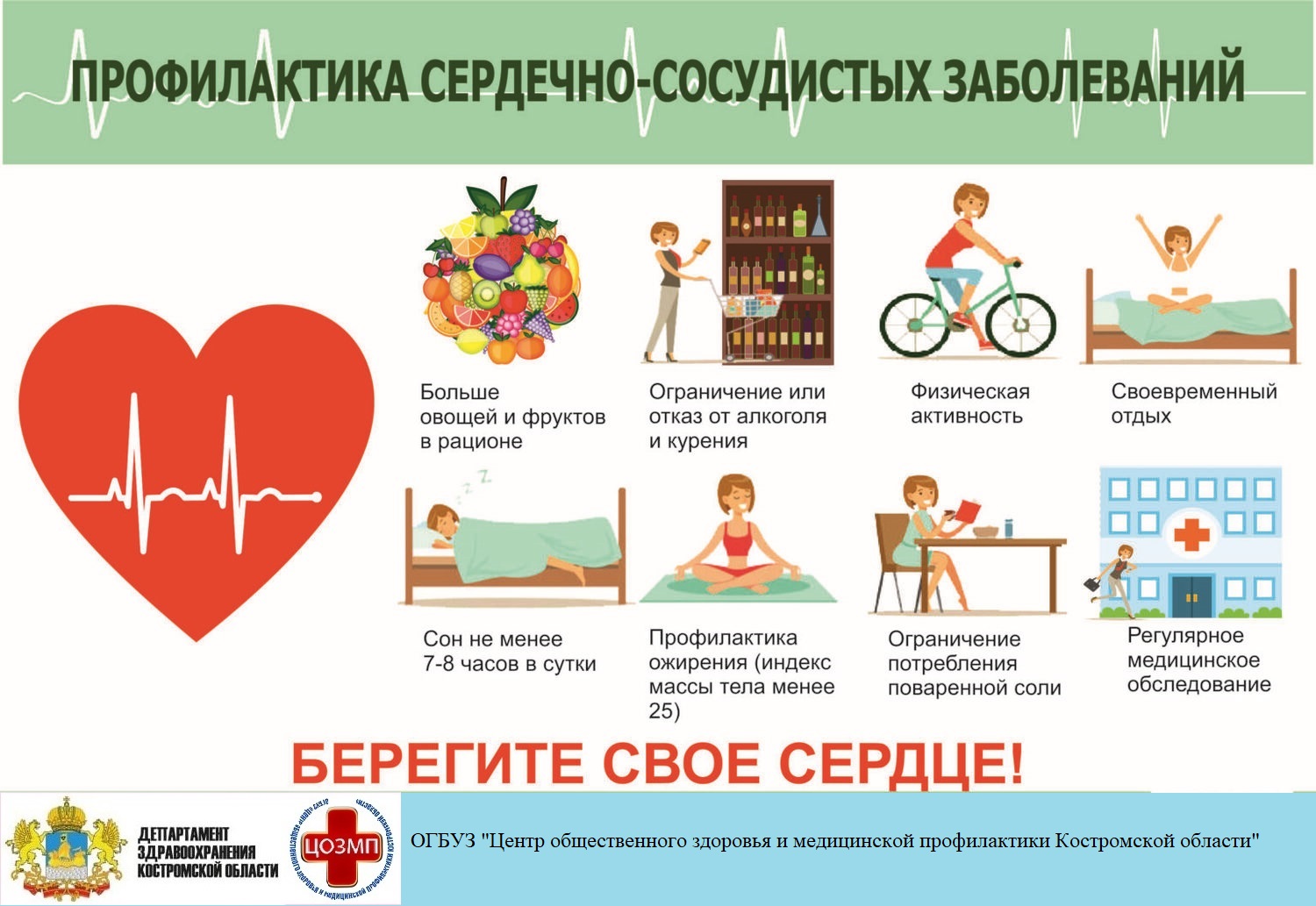 профилактика ССЗ.jpg