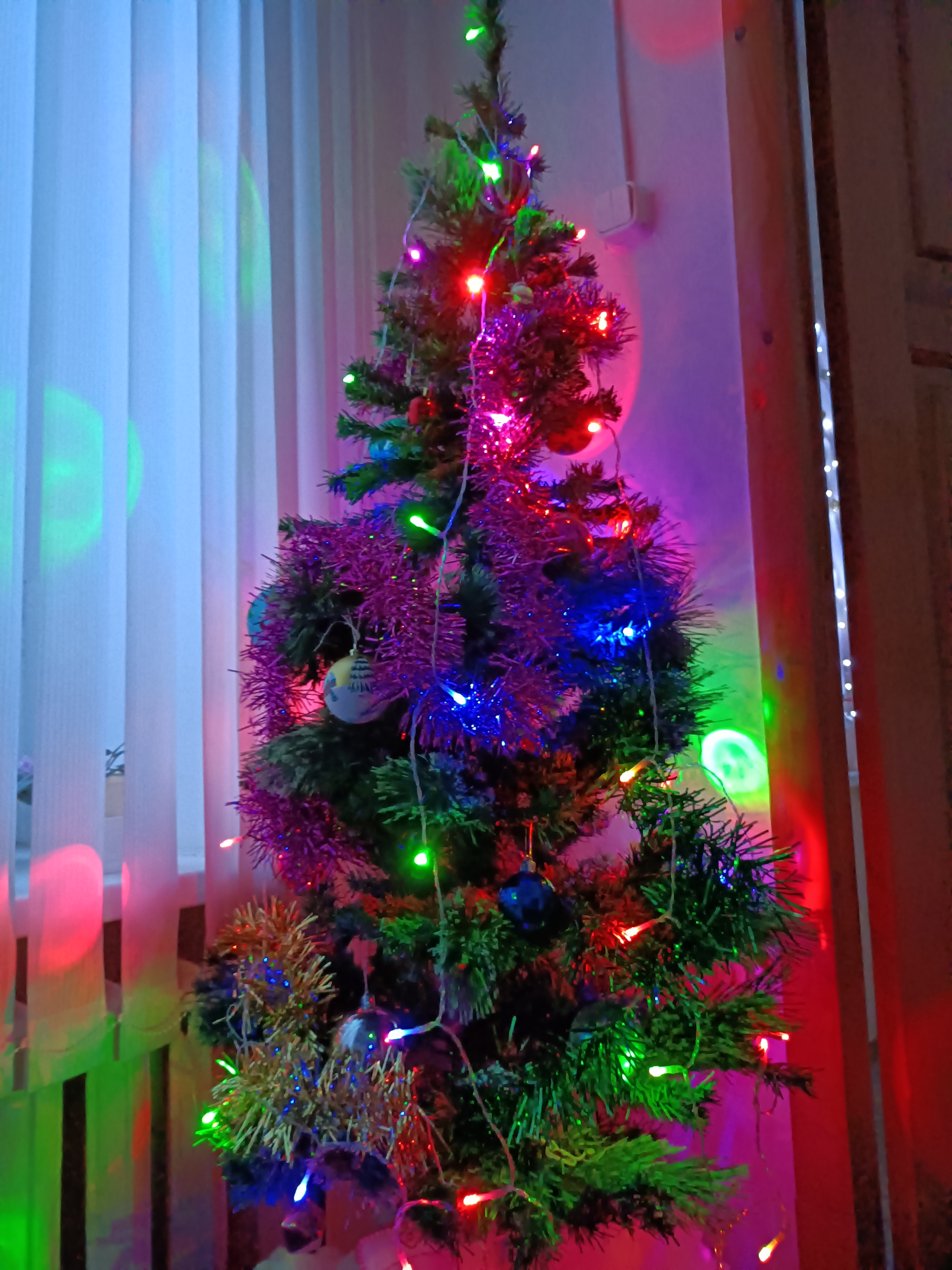 IMG20211220090015.jpg