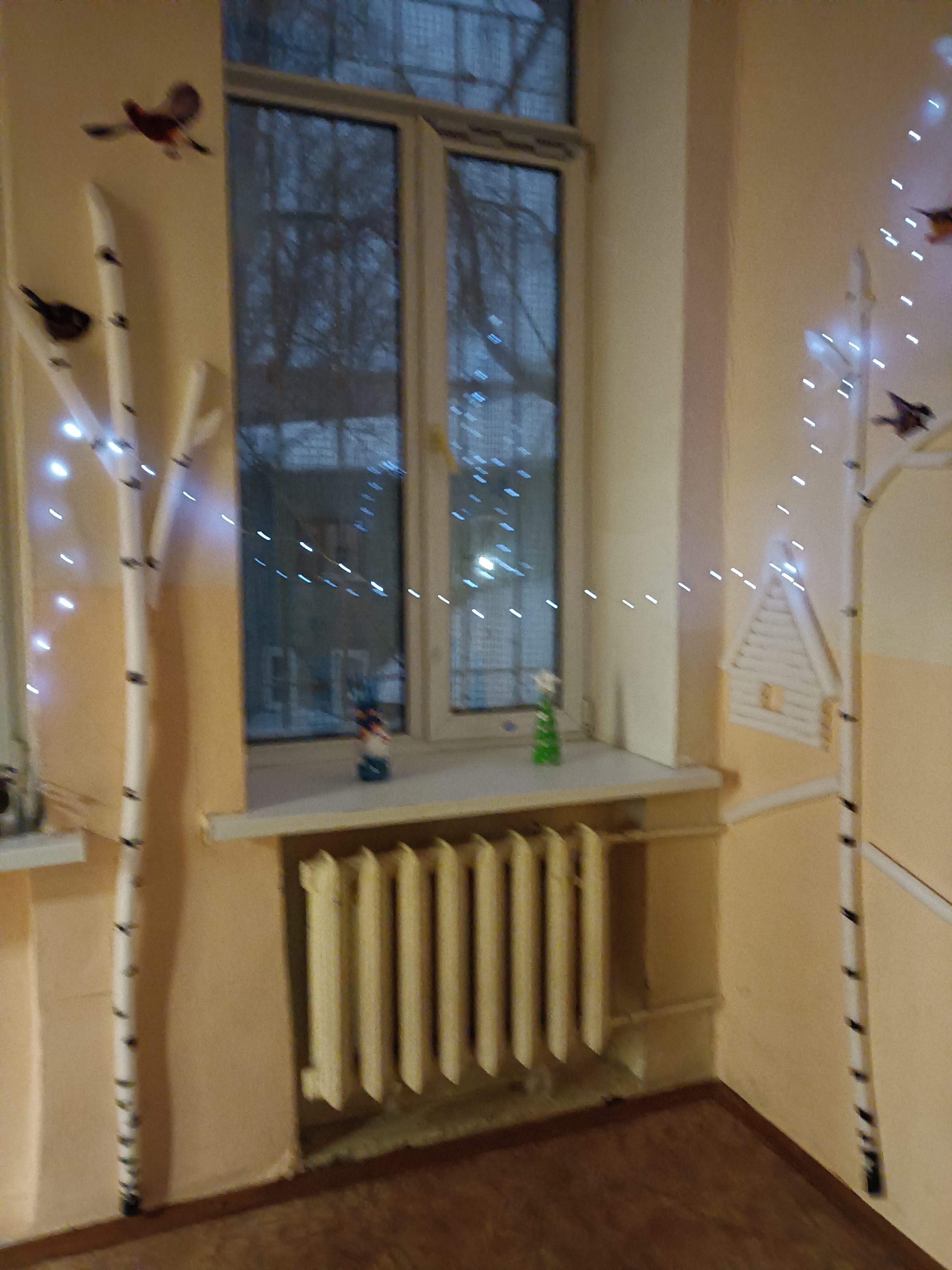 IMG20221222081252.jpg