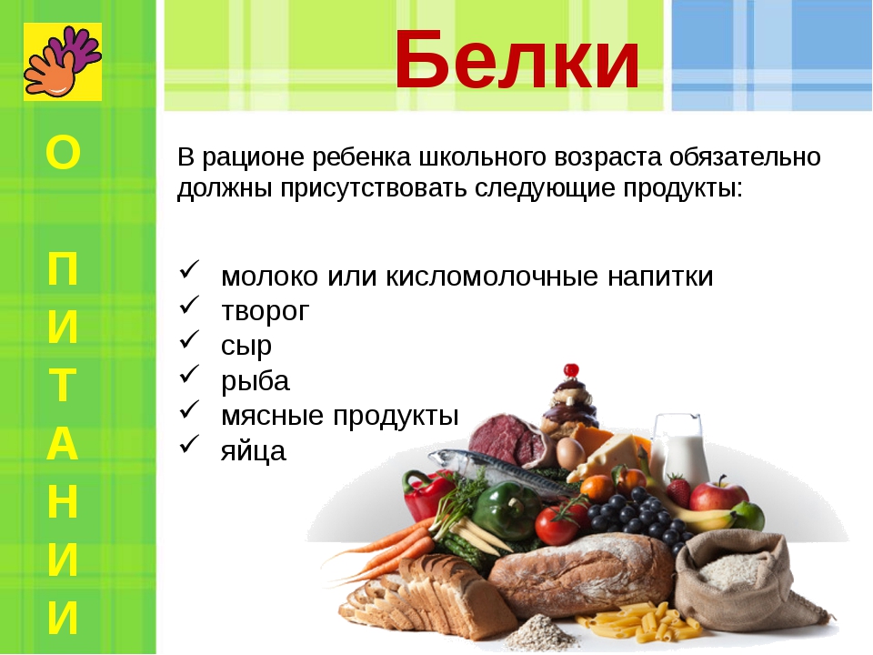 белки.jpg
