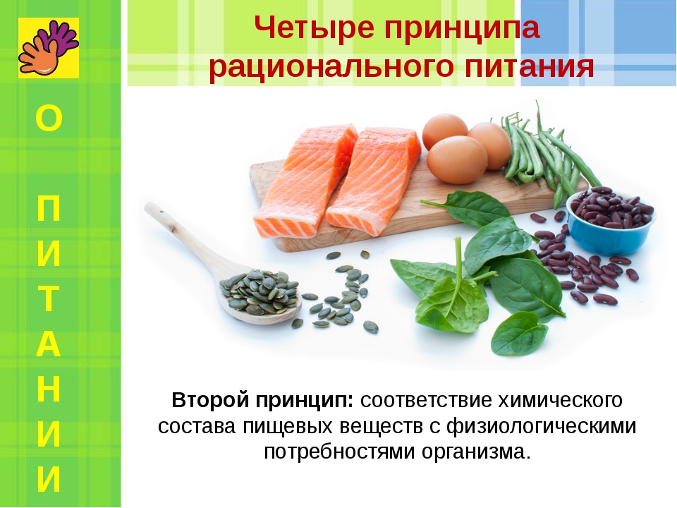 питание2.jpg