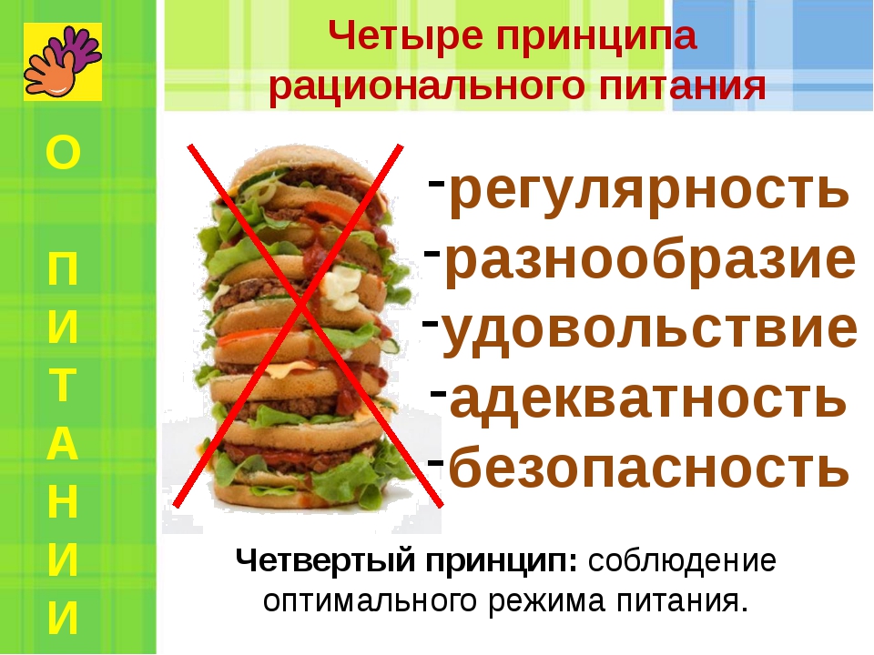 питание4.jpg