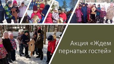 скорцы.JPG