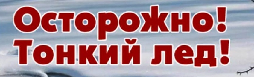 tonkii.jpg