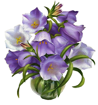 123415786_large_0_b3947_9253f150_orig.png