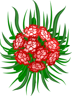 Carnation_013.md.png