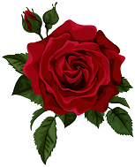 rose_PNG66726.png