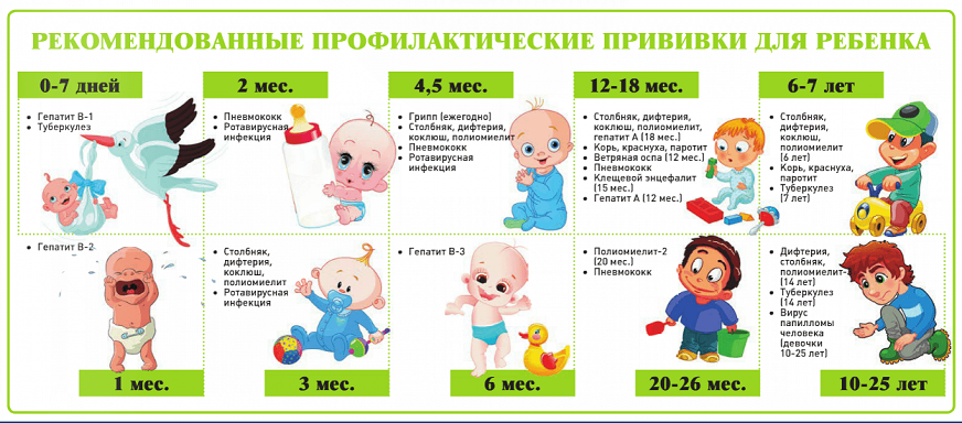 5283fbae-886e-41ce-bb1d-7c6dd00abe3a.png