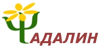 logo_top.jpg
