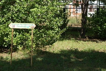 DSC08810.JPG