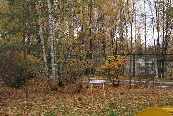 DSC09407.JPG