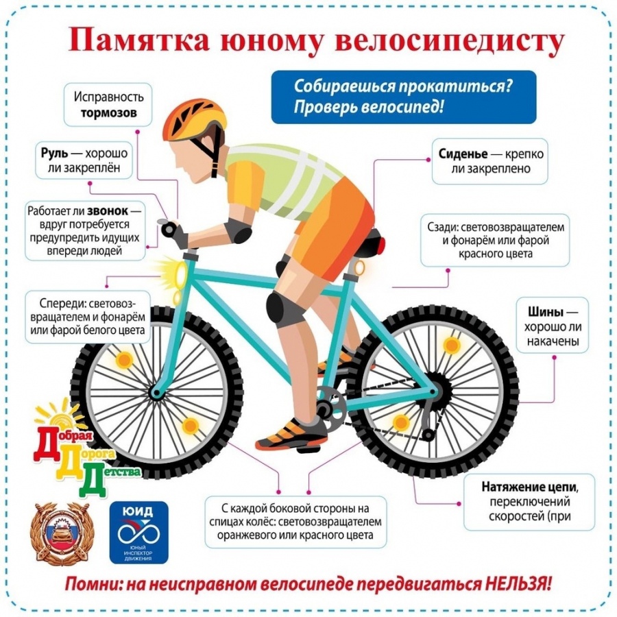 вело (2).jpg
