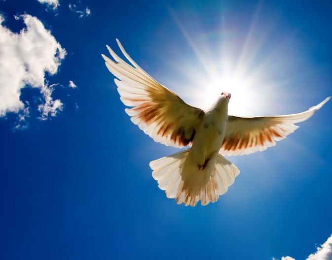 39da3085-ef73-40f8-a225-b9045510db1b.jpg.673x528_q85_crop-smart.jpg