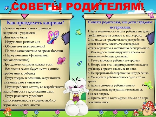 ec8179dd76a2cb0e93.jpg