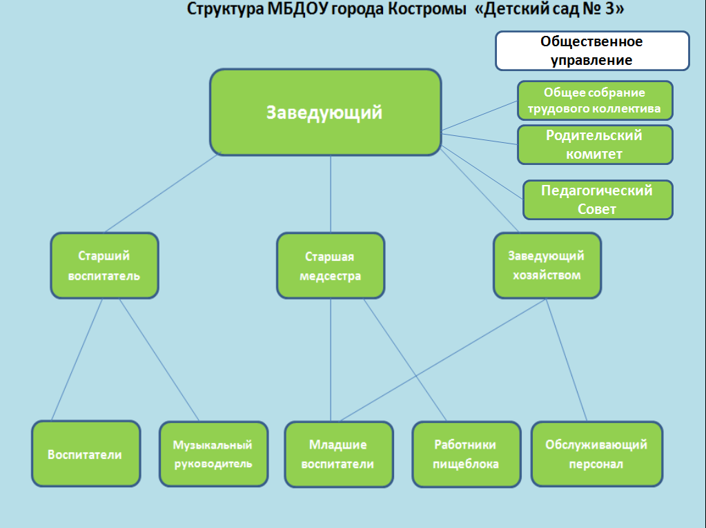 структура МБДОУ г. Костромы "Детский сад № 3"