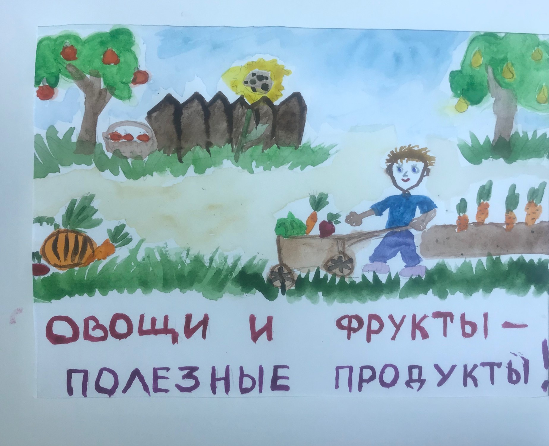 питание.jpeg
