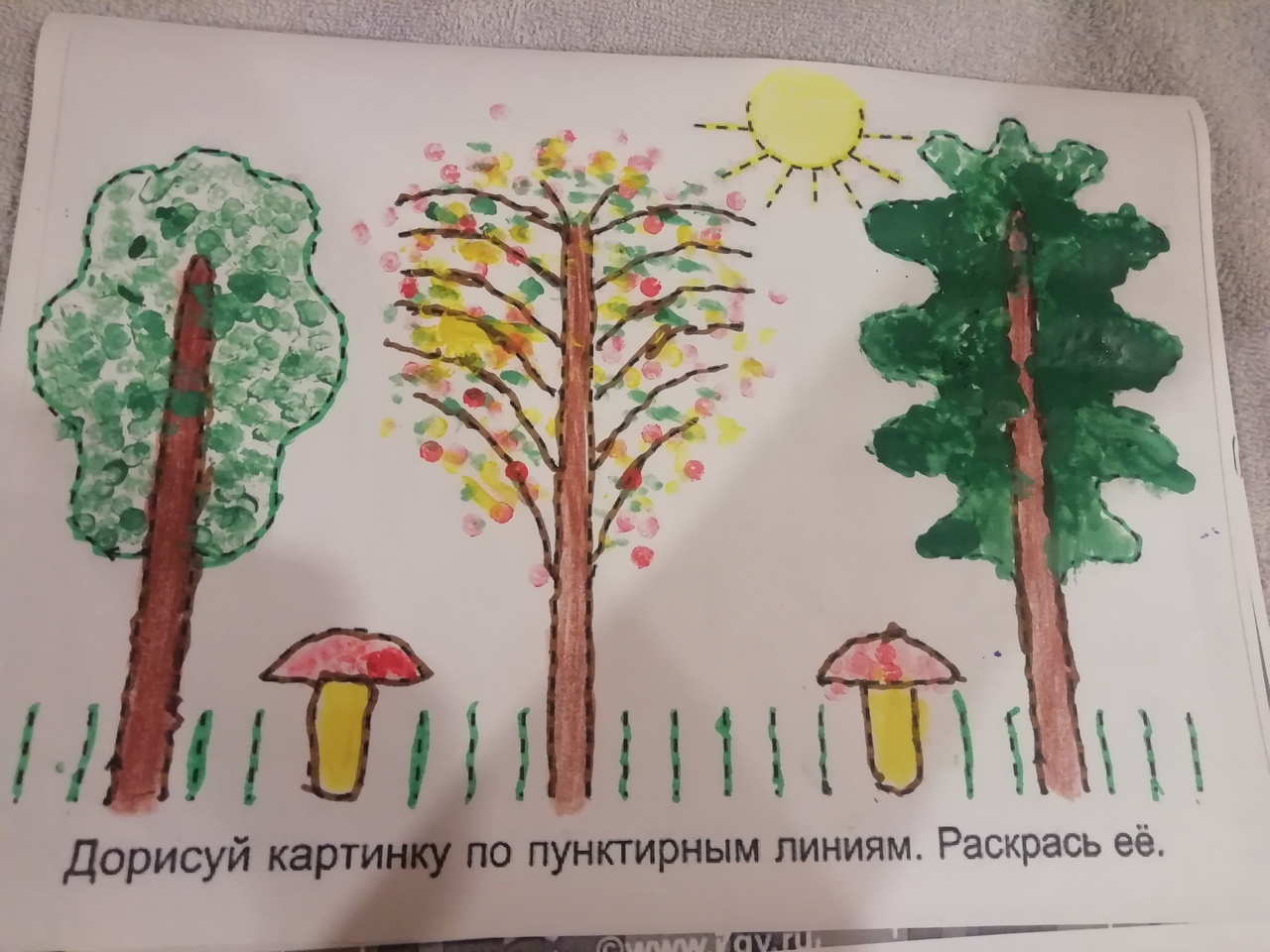 222.jpg