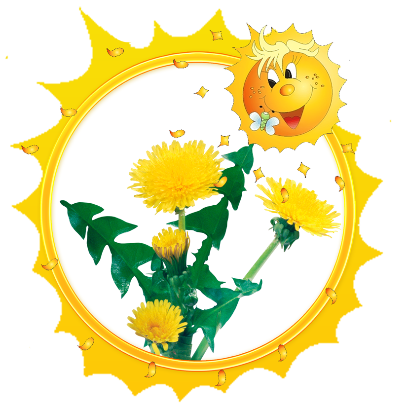 одуванчики.png