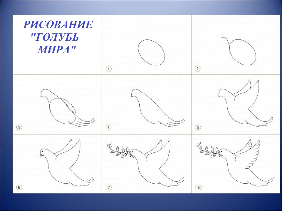 00124s1200.jpg