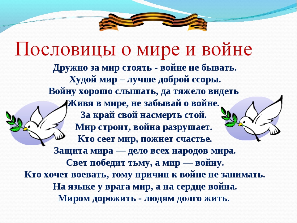 00995588421img14.jpg