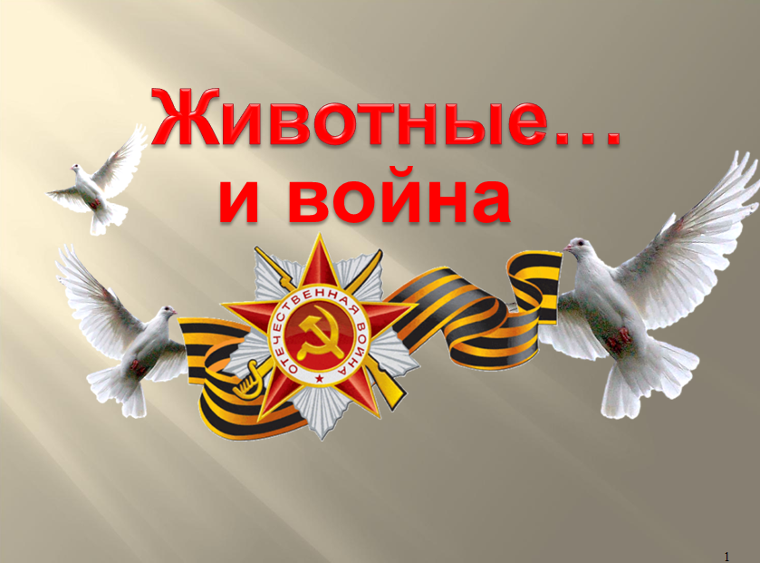 Безымянный008877.png