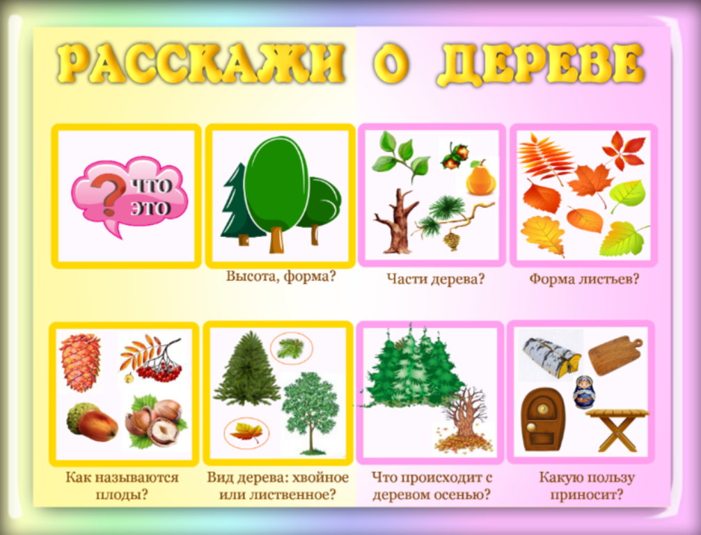 -=--1derevo_shema.png
